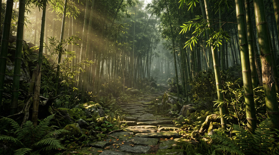 Photorealistic Environments